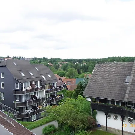 Schimmer